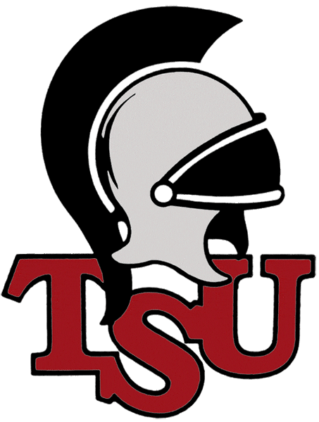 Troy Trojans 1993-2003 Primary Logo diy DTF decal sticker